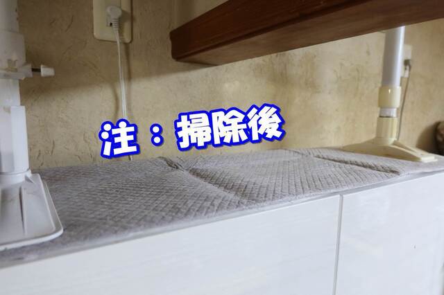 20230411mikena02S.JPG