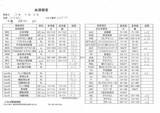 20230413shou03S.JPG