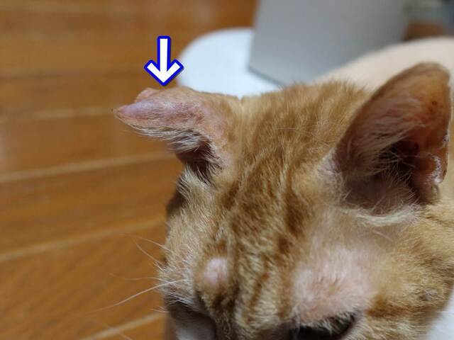 20230418jiro02S.JPG