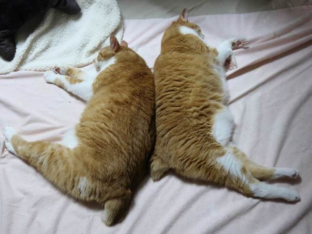 20230424taro_jiro01S.JPG