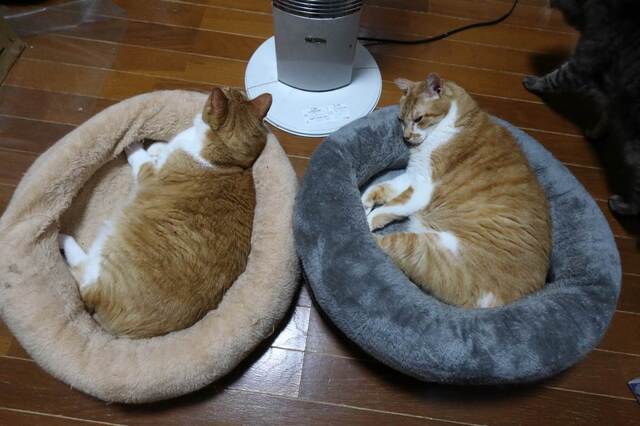 20230424taro_jiro02S.JPG