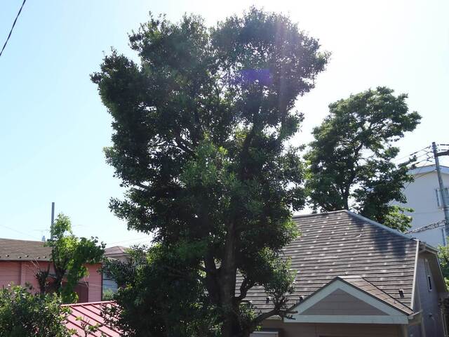 20230504home01S.JPG