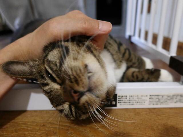 20230514kokoro06S.JPG