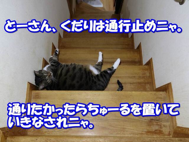 20230529kokoro03.JPG