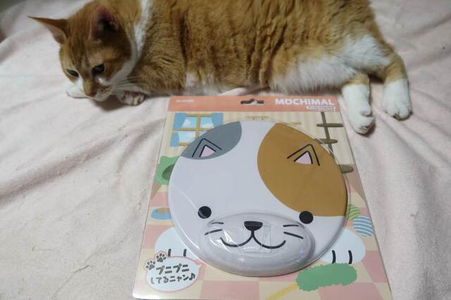 20230618mousePad01S.JPG