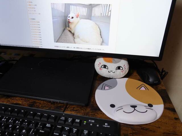20230622mousePad02S.JPG