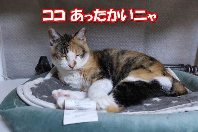 20231012ai04S.JPG