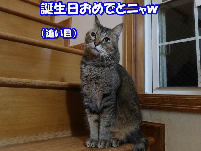 20231029fuku02S.JPG