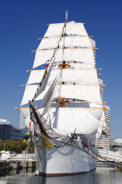 20231103nipponmaru00S.JPG