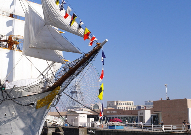 20231103nipponmaru02S.JPG