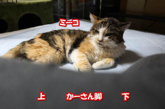 20231130eri03S.JPG