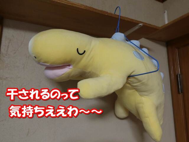 20231213home01S.JPG