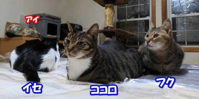 20231217etc01S.JPG