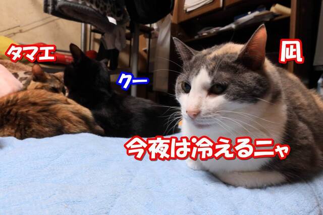 20231218nagi01S.JPG