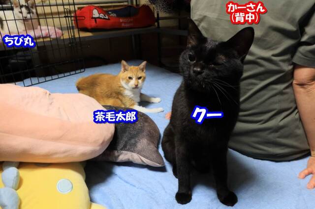 20231221kuh01S.JPG