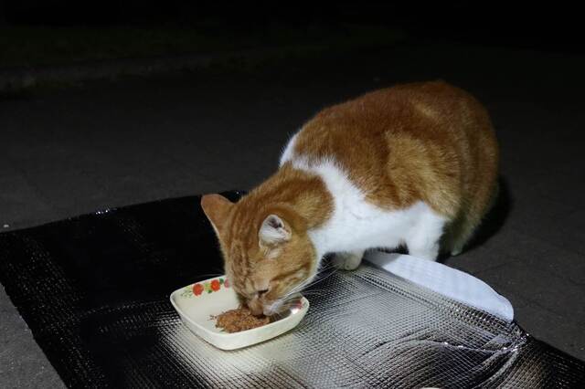 20231229uzu01S.JPG
