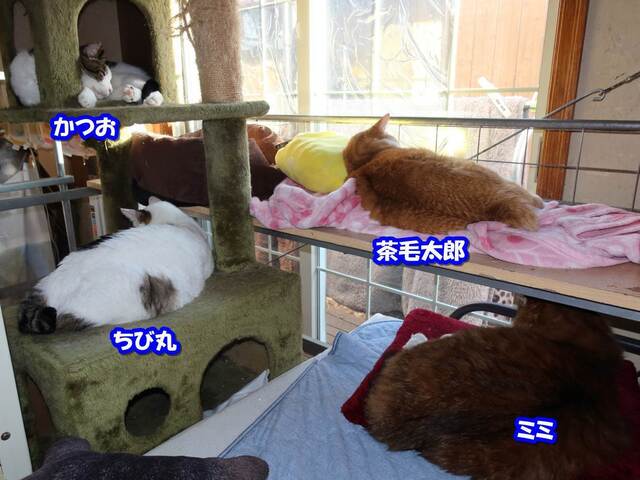 20240115taro03S.JPG