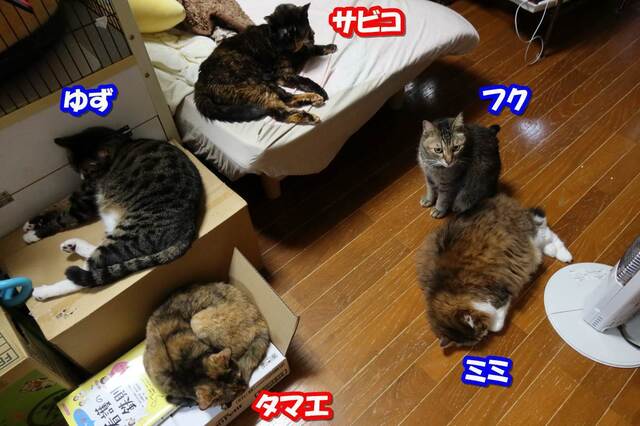 20240217etc01S.JPG