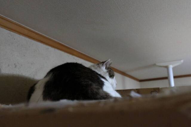 20240303boo01S.JPG
