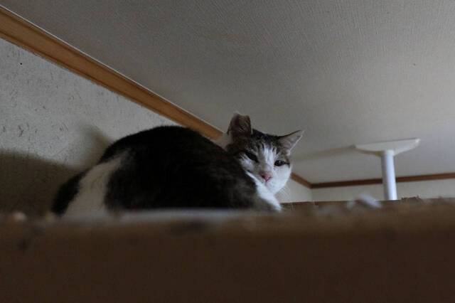 20240303boo02S.JPG