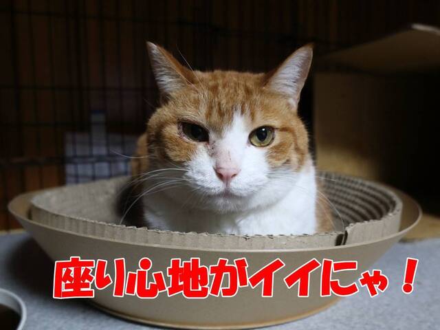 20240310mai02S.JPG