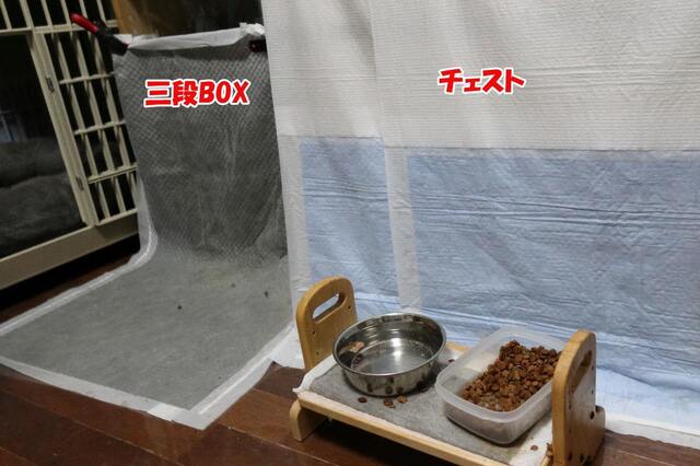 20240417home01S.JPG