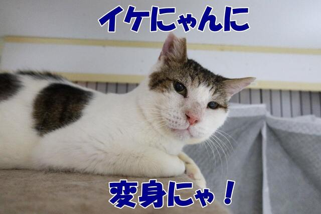 20240418boo04S.JPG