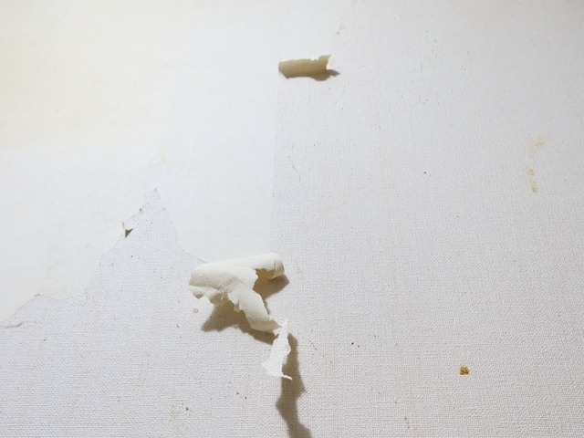 20240524tniini02S.JPG