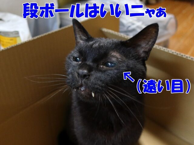 20240628kuh01S.JPG