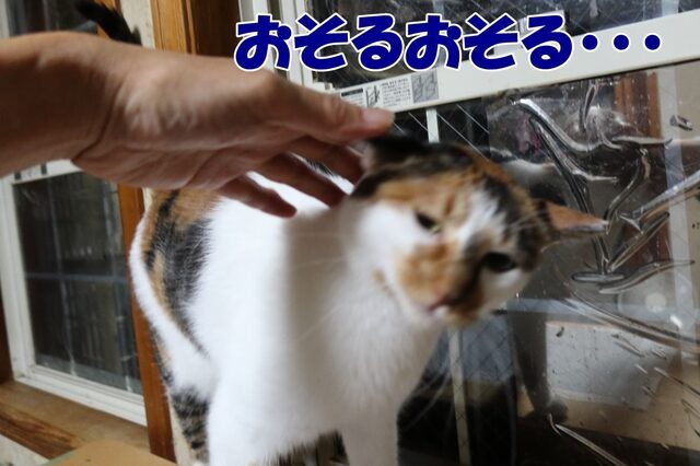 20240830mickey04S.JPG