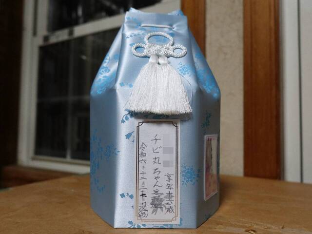 20241230chibimaru01S.JPG