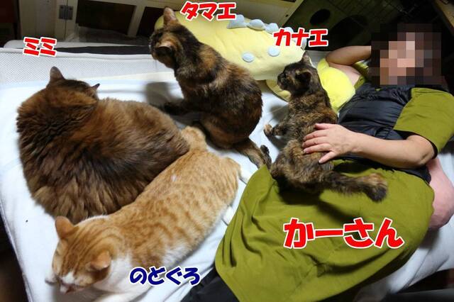 20250123eri01S.JPG