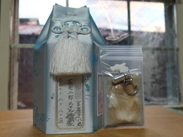 20250209jiro01S.JPG