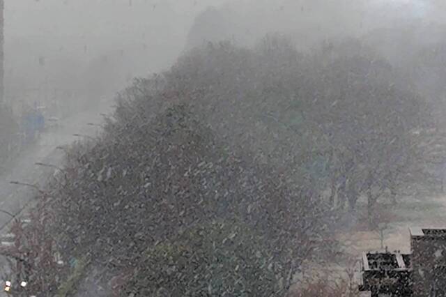 20250303tachikawa01S.JPG