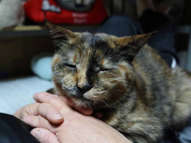 20250305tamae03S.JPG