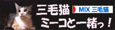 8923474[1].gif