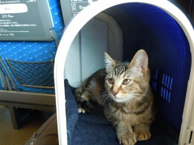 DSCN6724.JPG