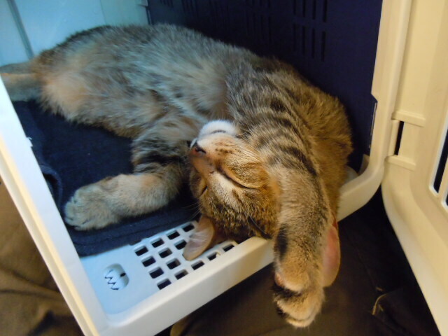 DSCN6735.JPG