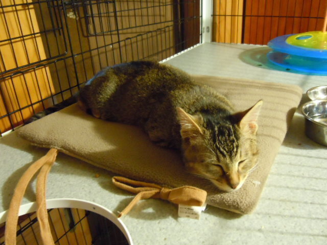 DSCN6741.JPG