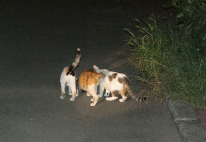 ★20080912park06.jpg