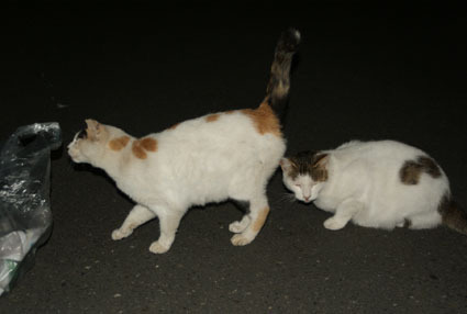 ★20090719park01.jpg