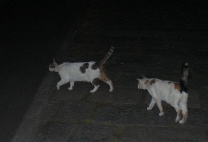 ★20090816park08.jpg