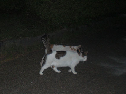 ★20091025park05.jpg