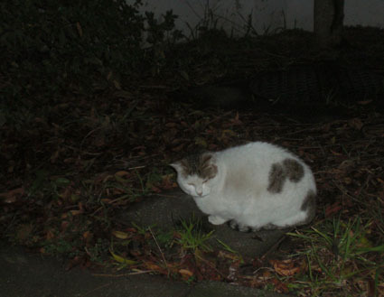 ★20100213park09.jpg