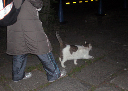 ★20100403park03.jpg