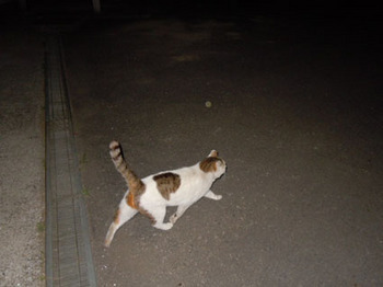 ★20120421park07.jpg