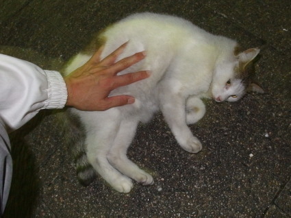 ★20131006park10.jpg