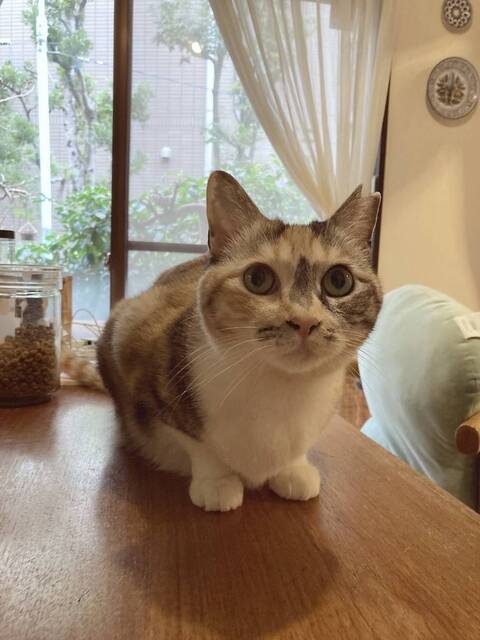 ハルちゃん2025 1 3_2S.jpg