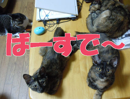 Happy2012_03.JPG