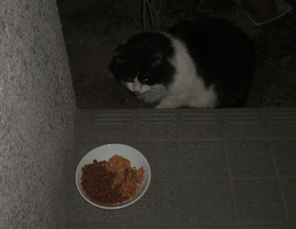 MONE03.JPG
